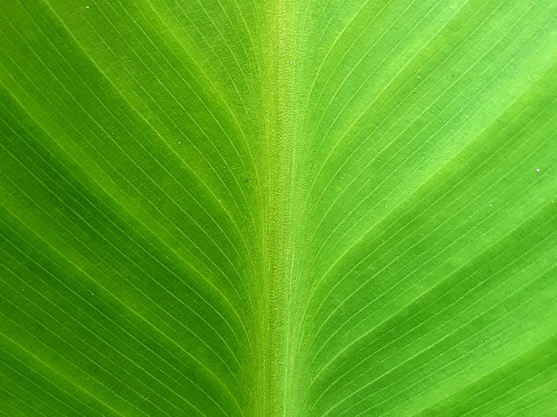 Campaign tracking analytics